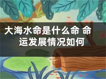 大海水命是什么命 命运发展情况如何