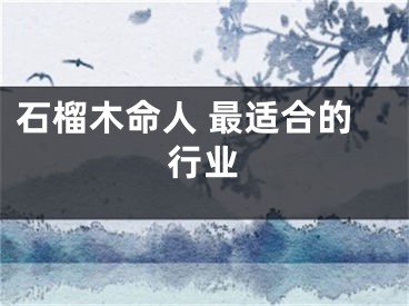 石榴木命人 最适合的行业