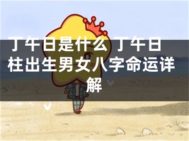 丁午日是什么 丁午日柱出生男女八字命运详解