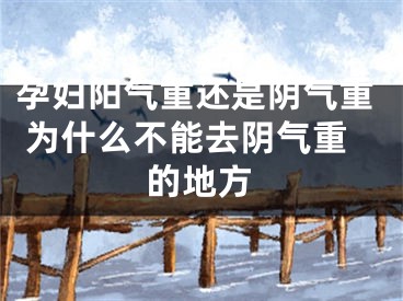 孕妇阳气重还是阴气重 为什么不能去阴气重的地方