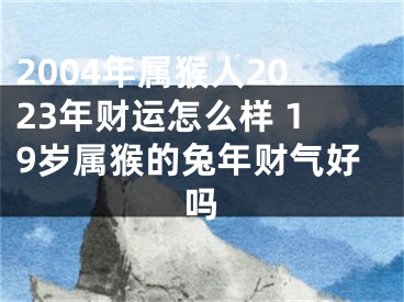 2004年属猴人2023年财运怎么样 19岁属猴的兔年财气好吗