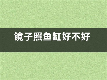 镜子照鱼缸好不好