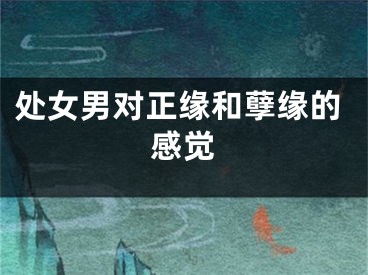 处女男对正缘和孽缘的感觉