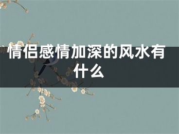 情侣感情加深的风水有什么