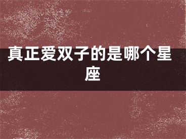 真正爱双子的是哪个星座