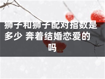 狮子和狮子配对指数是多少 奔着结婚恋爱的吗