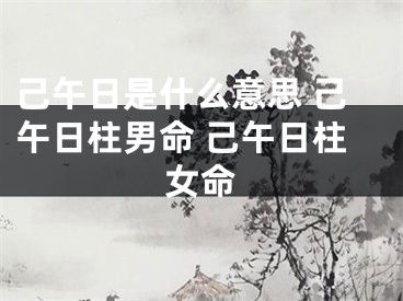 己午日是什么意思 己午日柱男命 己午日柱女命