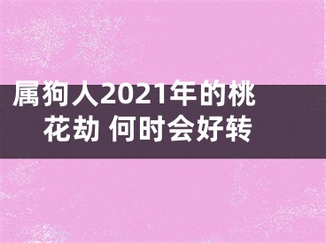 属狗人2021年的桃花劫 何时会好转