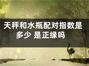天秤和水瓶配对指数是多少 是正缘吗