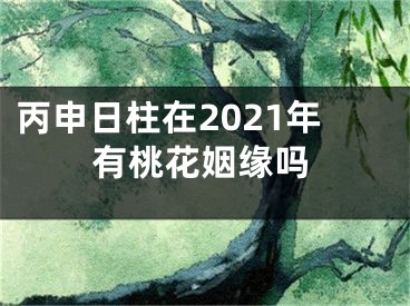 丙申日柱在2021年有桃花姻缘吗