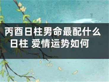 丙酉日柱男命最配什么日柱 爱情运势如何