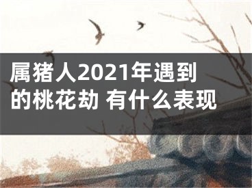 属猪人2021年遇到的桃花劫 有什么表现