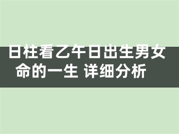 日柱看乙午日出生男女命的一生 详细分析