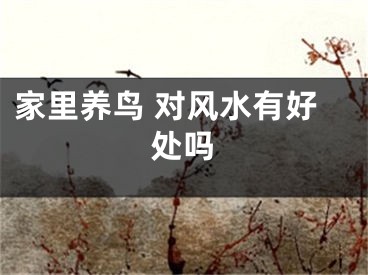 家里养鸟 对风水有好处吗