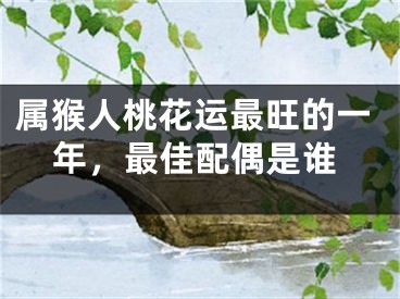 属猴人桃花运最旺的一年，最佳配偶是谁