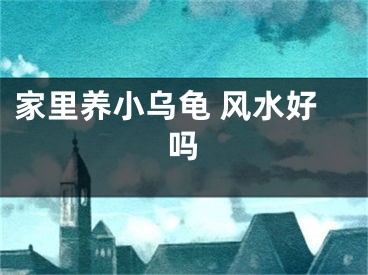 家里养小乌龟 风水好吗