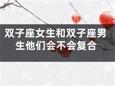 双子座女生和双子座男生他们会不会复合