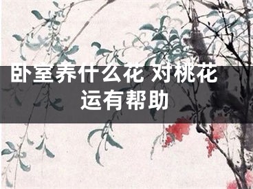 卧室养什么花 对桃花运有帮助