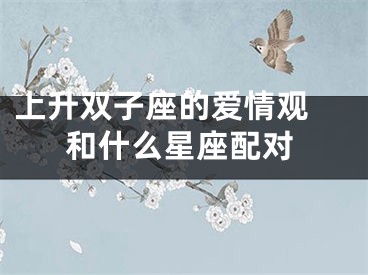 上升双子座的爱情观 和什么星座配对