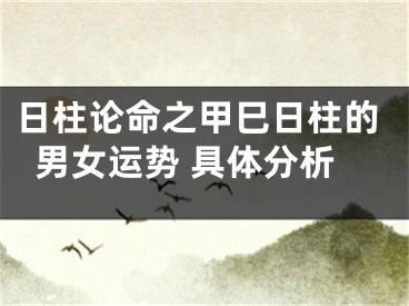 日柱论命之甲巳日柱的男女运势 具体分析