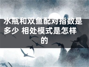 水瓶和双鱼配对指数是多少 相处模式是怎样的