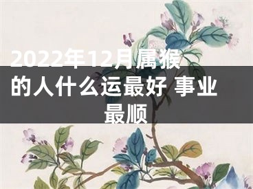 2022年12月属猴的人什么运最好 事业最顺