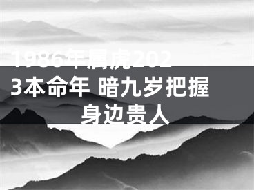 1986年属虎2023本命年 暗九岁把握身边贵人