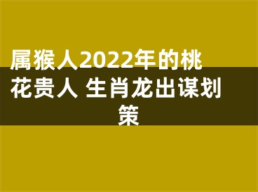 属猴人2022年的桃花贵人 生肖龙出谋划策