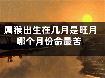 属猴出生在几月是旺月 哪个月份命最苦
