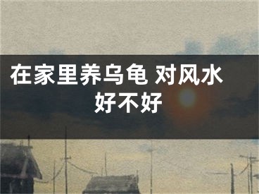 在家里养乌龟 对风水好不好