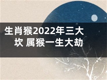 生肖猴2022年三大坎 属猴一生大劫