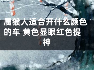 属猴人适合开什么颜色的车 黄色显眼红色提神