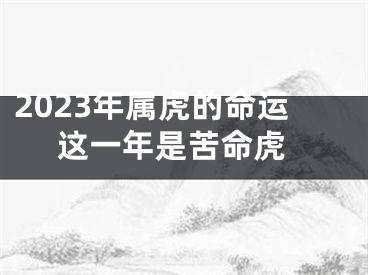 2023年属虎的命运 这一年是苦命虎