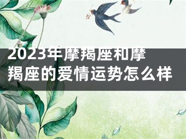 2023年摩羯座和摩羯座的爱情运势怎么样