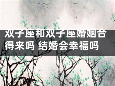 双子座和双子座婚姻合得来吗 结婚会幸福吗
