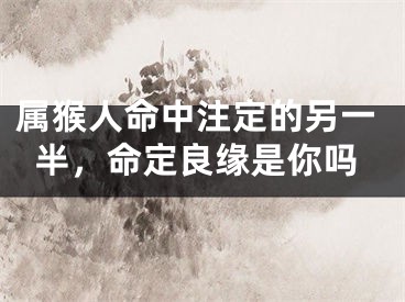 属猴人命中注定的另一半，命定良缘是你吗