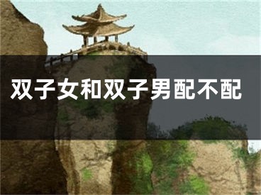 双子女和双子男配不配