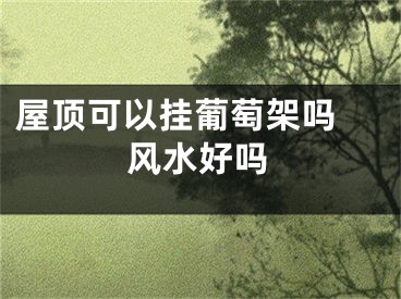 屋顶可以挂葡萄架吗 风水好吗