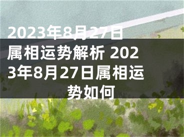 2023年8月27日属相运势解析 2023年8月27日属相运势如何
