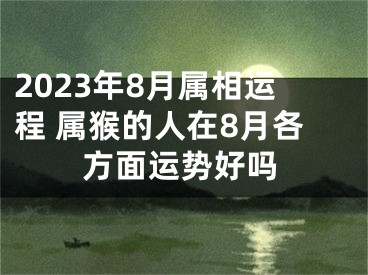2023年8月属相运程 属猴的人在8月各方面运势好吗