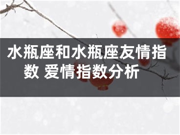 水瓶座和水瓶座友情指数 爱情指数分析
