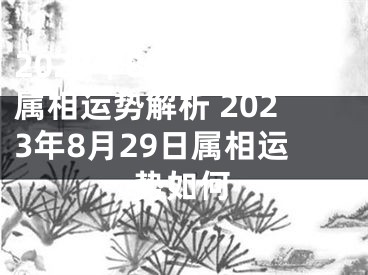 2023年8月29日属相运势解析 2023年8月29日属相运势如何
