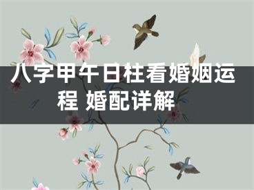 八字甲午日柱看婚姻运程 婚配详解