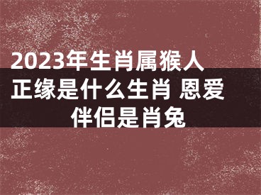 2023年生肖属猴人正缘是什么生肖 恩爱伴侣是肖兔