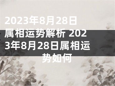 2023年8月28日属相运势解析 2023年8月28日属相运势如何