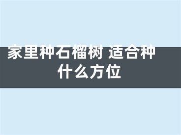 家里种石榴树 适合种什么方位