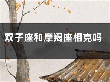 双子座和摩羯座相克吗