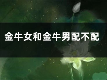 金牛女和金牛男配不配
