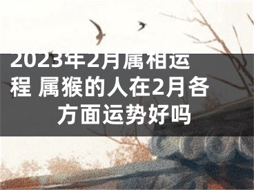 2023年2月属相运程 属猴的人在2月各方面运势好吗