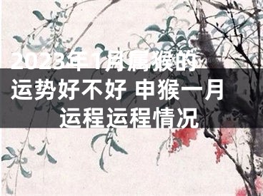 2023年1月属猴的运势好不好 申猴一月运程运程情况